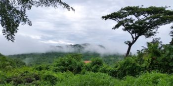 Kickstart Costa Rica excurise Monte Verde National Park