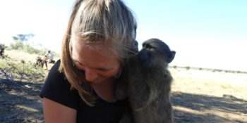 Namibie Wildlife Rehab and Research Sofie met baviaan
