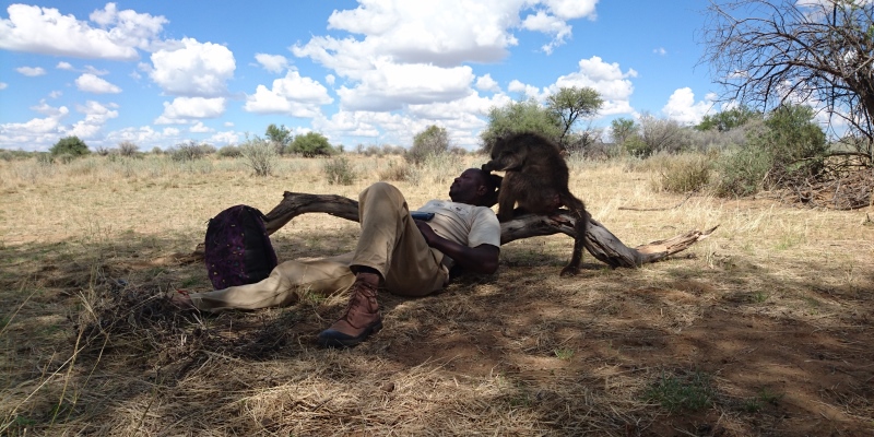 Namibie Wildife Rehab and Research foto gemaakt door Arie