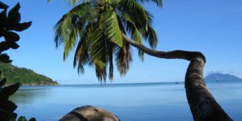 Seychellen Marine and Terrestrial Conservation 15