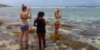 Seychellen Marine and Terrestrial Conservation 5