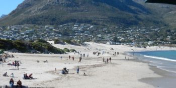 Zuid-Afrika Kaapstad Hout Baai strand
