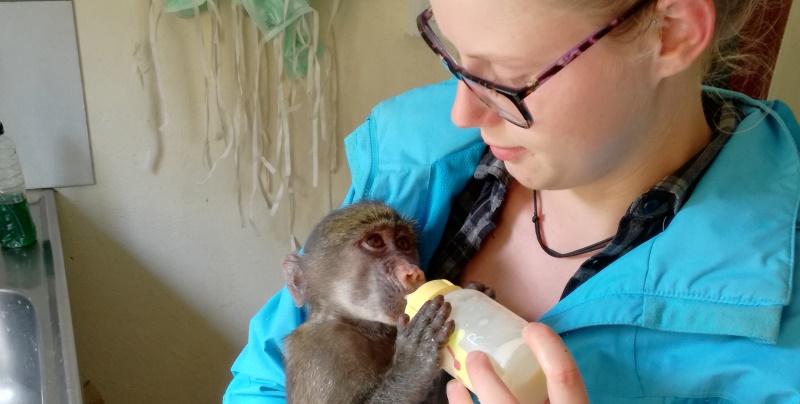 Zuid-Afrika-Monkey-Rehab-Irma