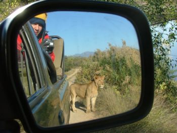 Zuidafrika Wildlife fotografie