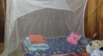 Olifantenproject Thailand accommodatie bed met klamboe