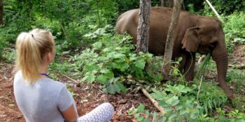 Thailand Olifantenproject Lidy