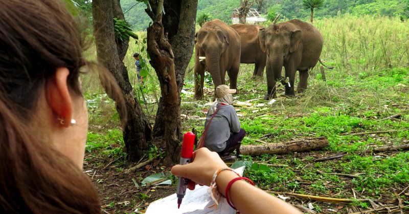 Thailand Olifantenproject onderzoek naar welbevinden foto Lidy