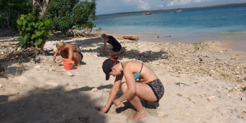 Vrijwilligerswerk op Bali schildpaddenproject