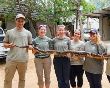 Zuid-Afrika Wildlife Rehab Centre Moholoholo