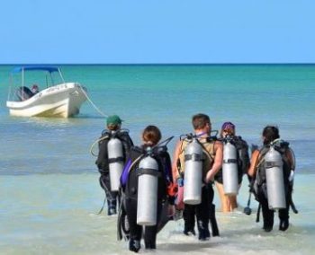 Mexico Marine Conservation Expedition