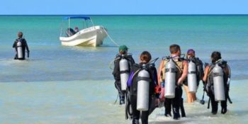 Mexico Marine Conservation Expedition duikers klaar voor duik