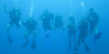 Mexico Marine Conservation Expedition onderwater