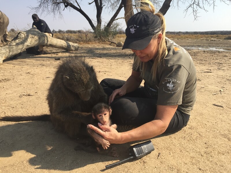 Namibië Wildlife Research and rehab Savannah met aapjes