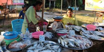 Isa in Thailand visvrouwtjes