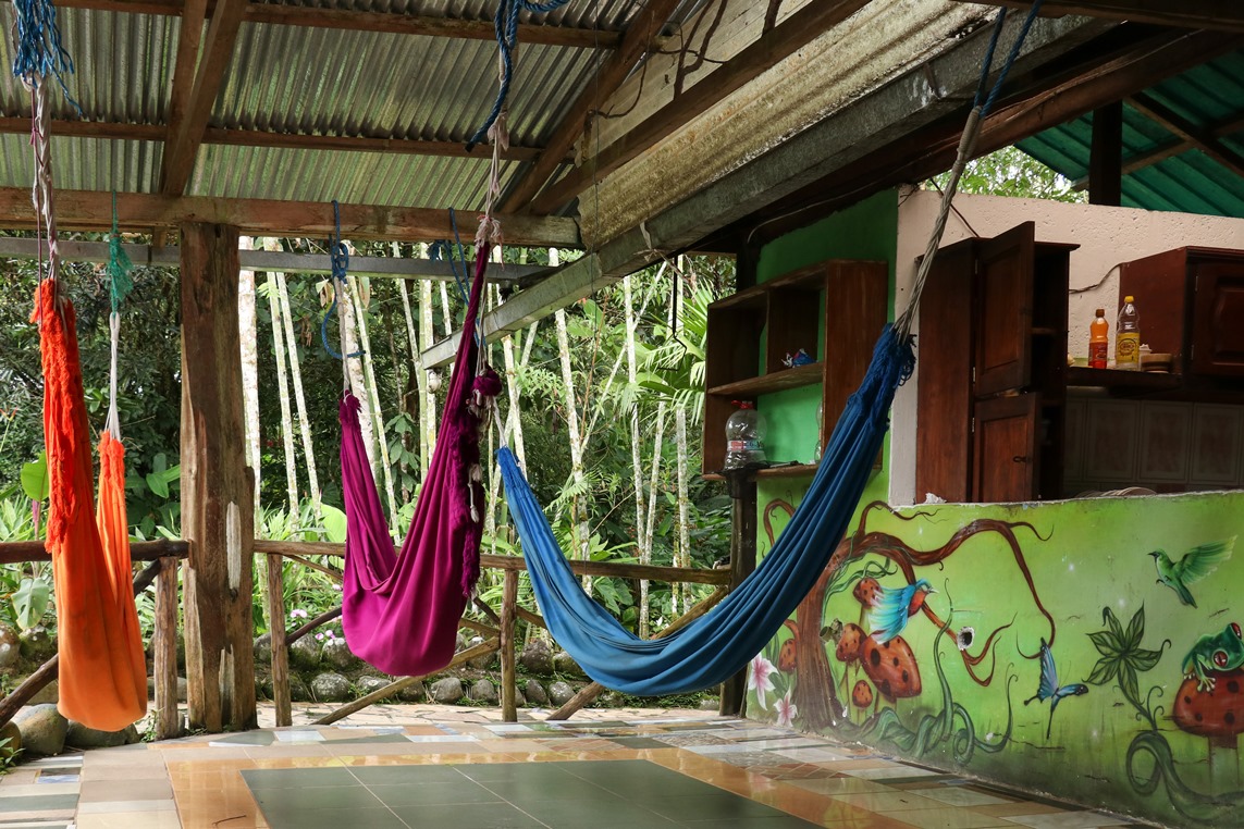 Amazon accommodation