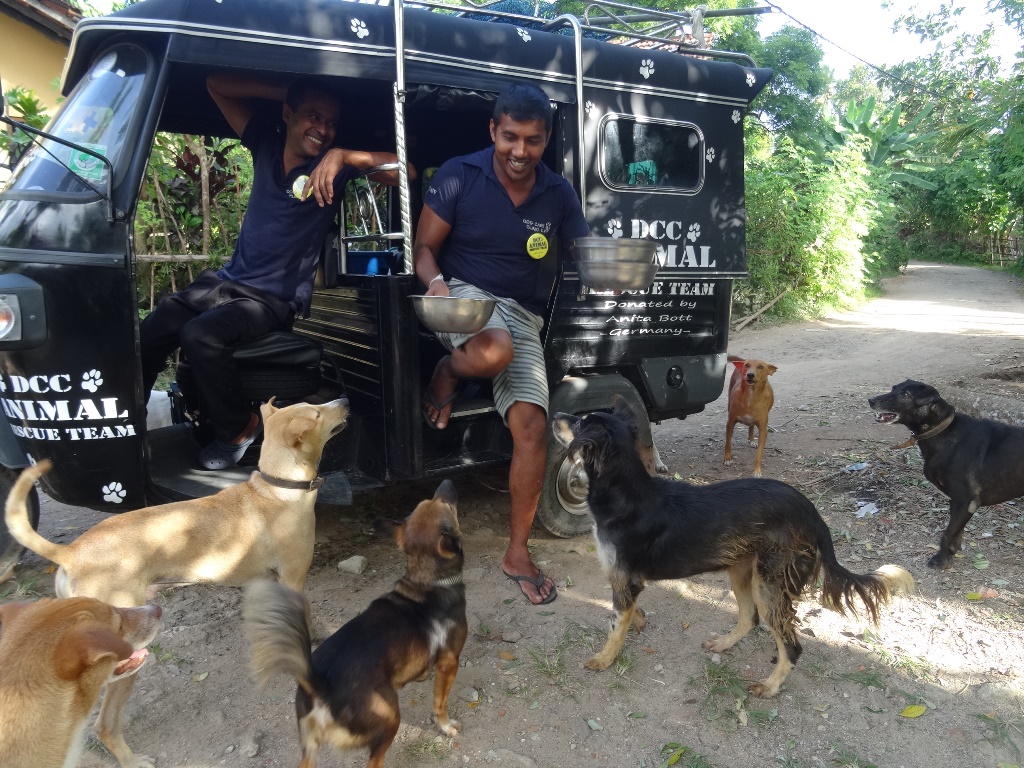 Hondenproject Sri Lanka 1
