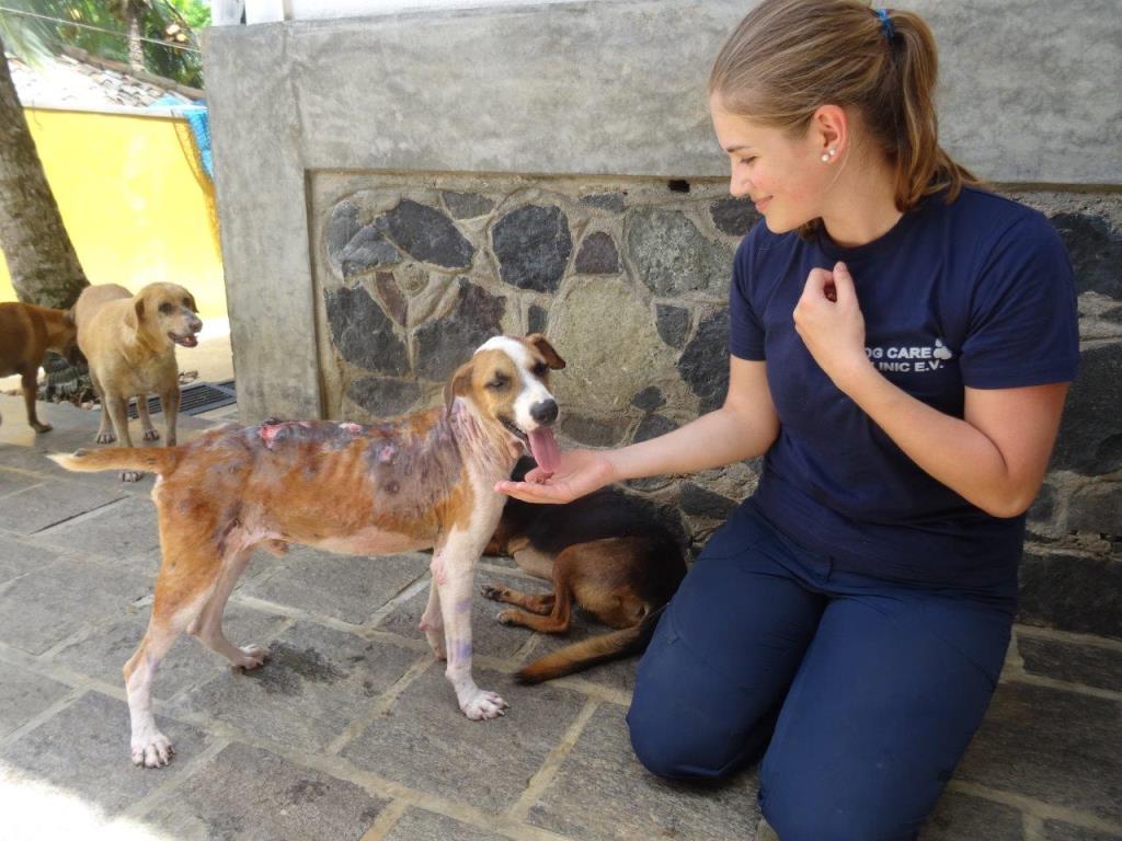 Hondenproject Sri Lanka 3
