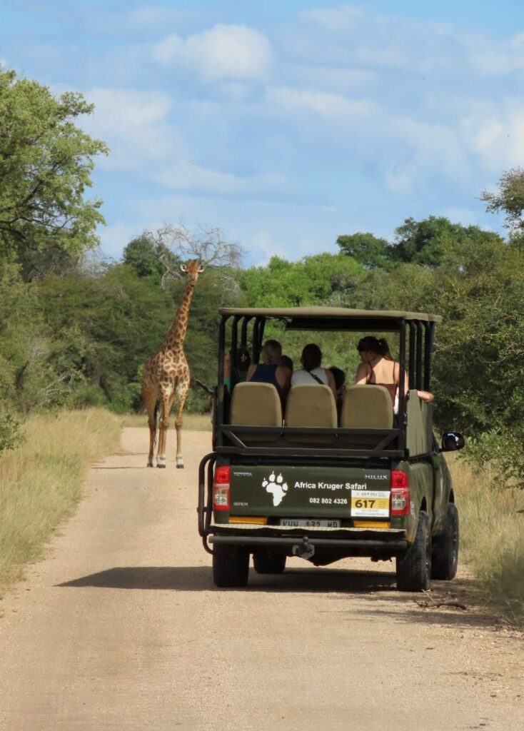 Kruger to Coast - safari