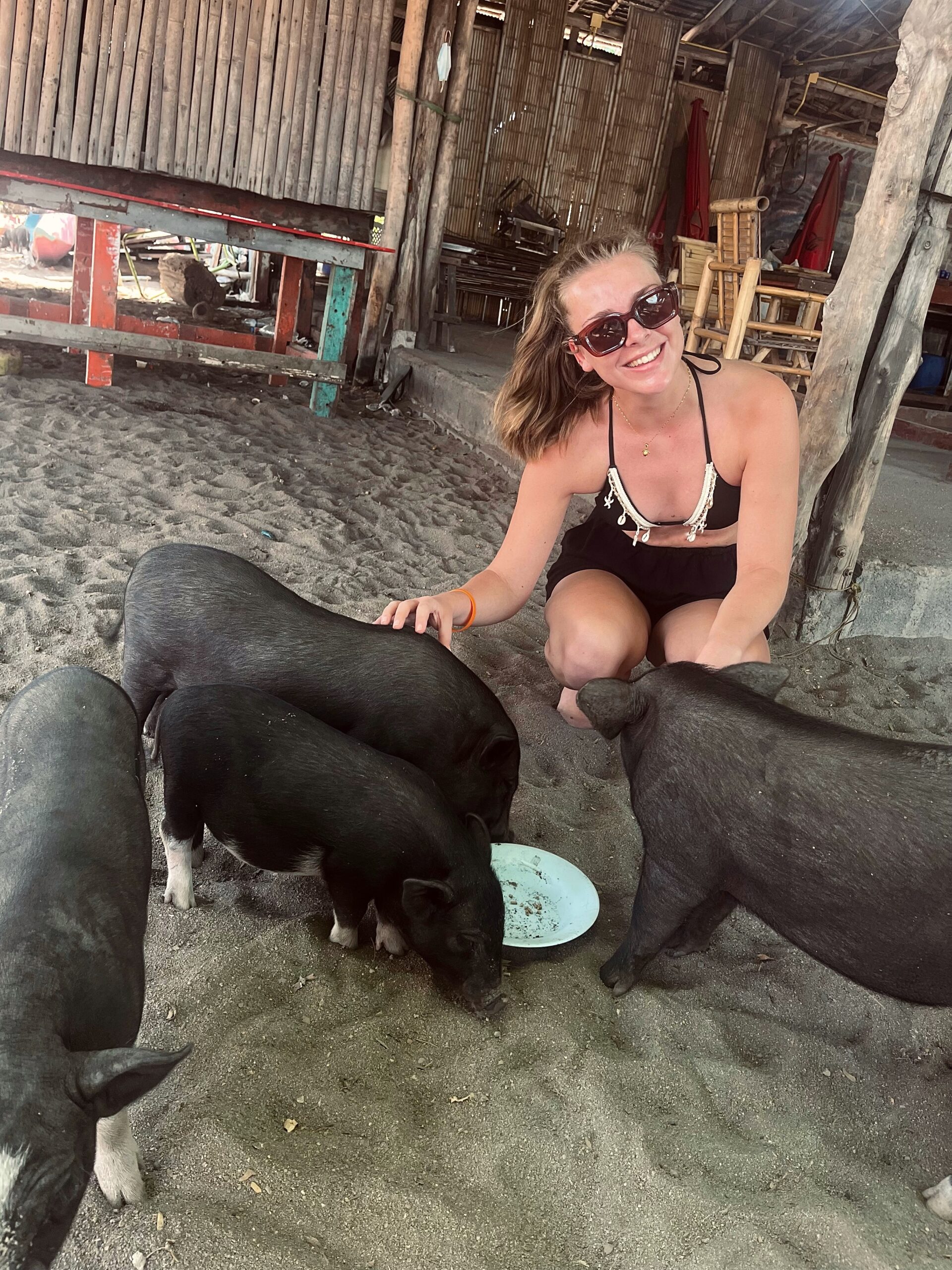 Jonge reiziger voedt en aait varkens op het strand tijdens haar reis in Thailand
